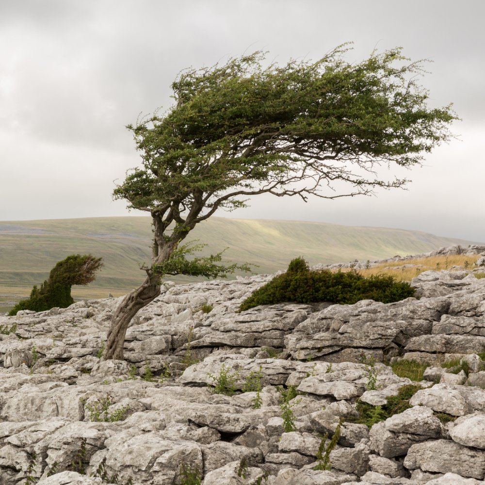 Resilience and Mental Strength in Business and Career Challenges